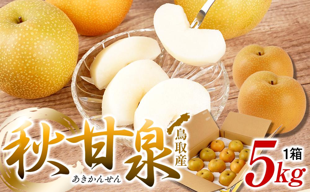 【先行予約】梨 秋甘泉 鳥取産 5kg× 1箱