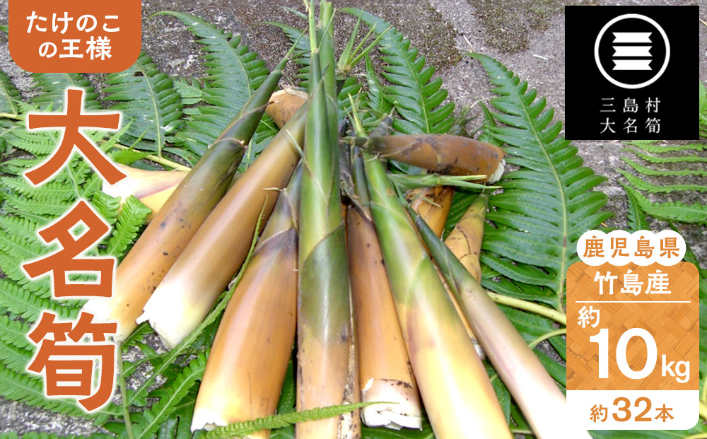 【2026年お届け】大名筍 10kg ( 約32本 ) ( 竹島産 )～2026年5月中旬以降順次発送予定～