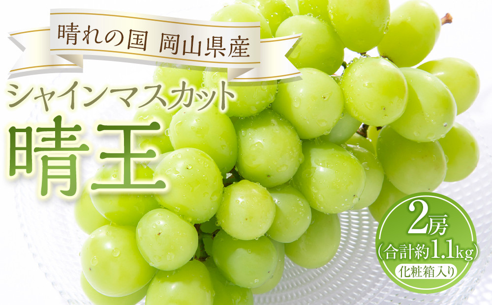 ぶどう&nbsp;2026年&nbsp;シャイン&nbsp;マスカット&nbsp;晴王&nbsp;2房（合計約1.1kg）化粧箱入り&nbsp;マスカット&nbsp;ブドウ&nbsp;葡萄&nbsp;&nbsp;岡山県産&nbsp;国産&nbsp;フルーツ&nbsp;果物&nbsp;ギフト