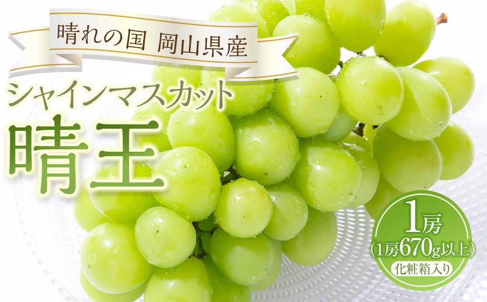 ぶどう&nbsp;2026年&nbsp;シャイン&nbsp;マスカット&nbsp;晴王&nbsp;1房（1房670g以上）化粧箱入り&nbsp;マスカット&nbsp;ブドウ&nbsp;葡萄&nbsp;&nbsp;岡山県産&nbsp;国産&nbsp;フルーツ&nbsp;果物&nbsp;ギフト