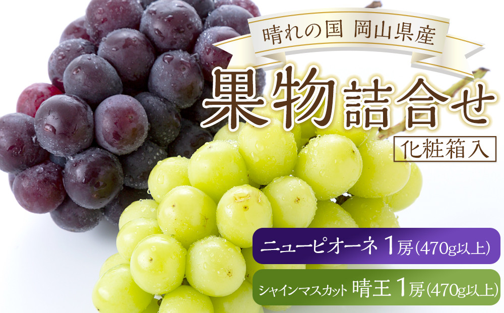 ぶどう&nbsp;2026年&nbsp;果物&nbsp;詰合せ&nbsp;ニュー&nbsp;ピオーネ&nbsp;1房（1房470g以上）シャイン&nbsp;マスカット&nbsp;晴王&nbsp;1房（1房470g以上）&nbsp;化粧箱入り&nbsp;岡山県産&nbsp;国産&nbsp;フルーツ&nbsp;ギフト