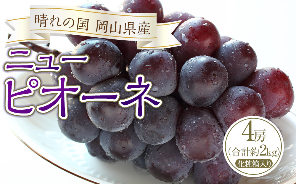ぶどう&nbsp;2026年&nbsp;ニュー&nbsp;ピオーネ&nbsp;4房（合計約2kg）&nbsp;ブドウ&nbsp;葡萄&nbsp;&nbsp;岡山県産&nbsp;国産&nbsp;フルーツ&nbsp;果物&nbsp;ギフト