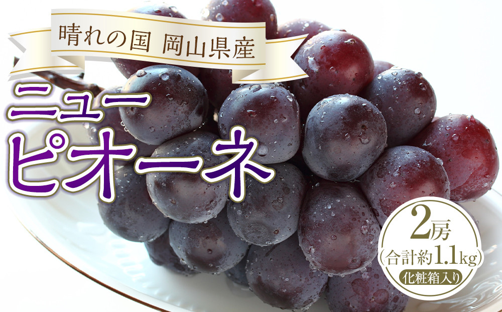 ぶどう&nbsp;2026年&nbsp;ニュー&nbsp;ピオーネ&nbsp;2房（合計約1.1kg）化粧箱入り&nbsp;ブドウ&nbsp;葡萄&nbsp;&nbsp;岡山県産&nbsp;国産&nbsp;フルーツ&nbsp;果物&nbsp;ギフト