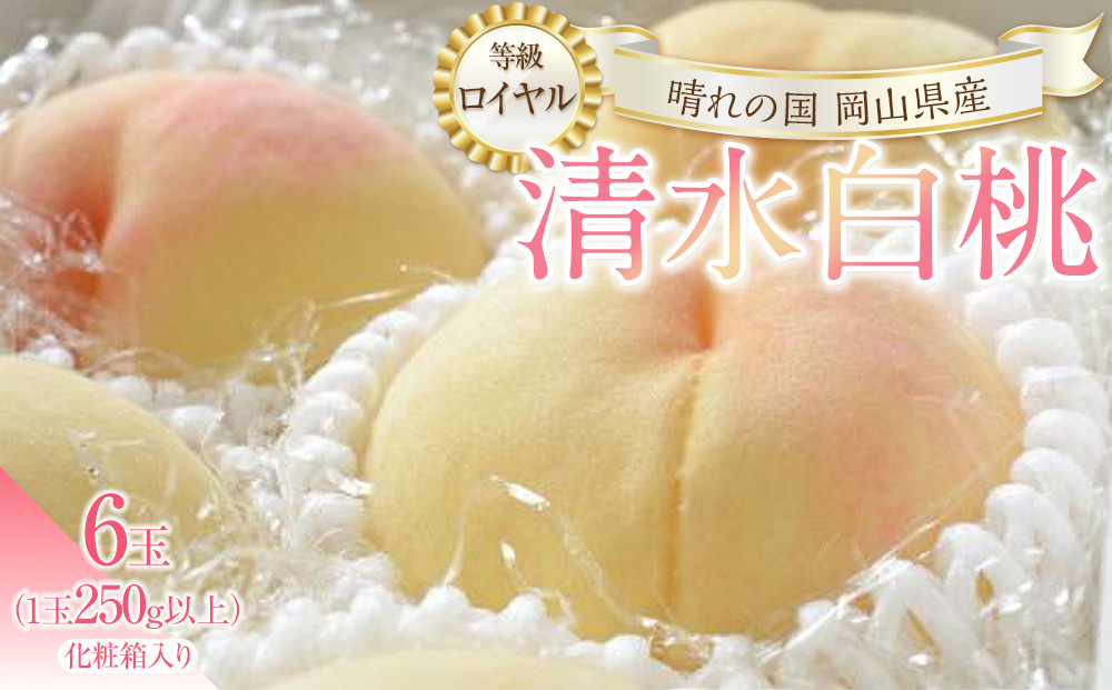 桃&nbsp;2026年&nbsp;清水&nbsp;白桃&nbsp;6玉（1玉250g以上）&nbsp;等級：&nbsp;ロイヤル&nbsp;化粧箱入り&nbsp;もも&nbsp;モモ&nbsp;岡山県産&nbsp;国産&nbsp;フルーツ&nbsp;果物&nbsp;ギフト