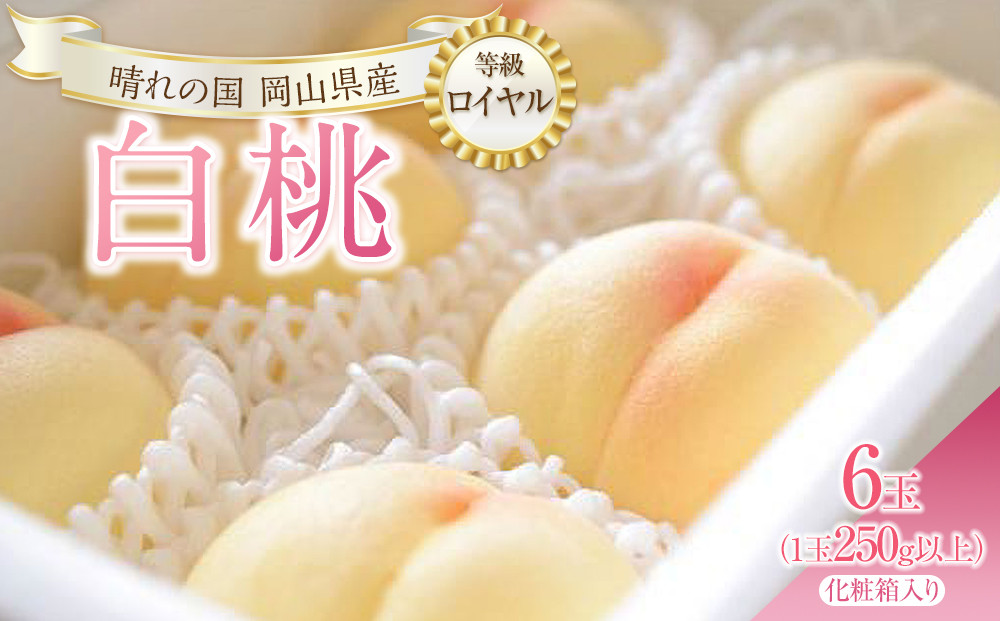 桃&nbsp;2026年&nbsp;白桃&nbsp;6玉（1玉250g以上）&nbsp;等級：&nbsp;ロイヤル&nbsp;化粧箱入り&nbsp;もも&nbsp;モモ&nbsp;岡山県産&nbsp;国産&nbsp;フルーツ&nbsp;果物&nbsp;ギフト