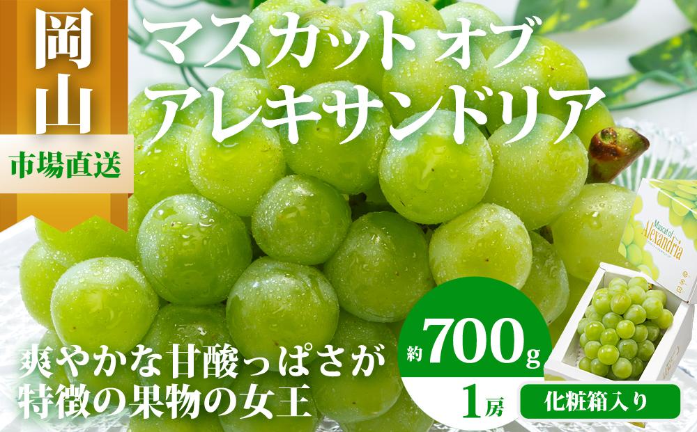 ぶどう&nbsp;2026年&nbsp;マスカット&nbsp;・オブ・アレキサンドリア&nbsp;1房&nbsp;700g以上&nbsp;化粧箱入り&nbsp;マスカット&nbsp;ブドウ&nbsp;葡萄&nbsp;&nbsp;岡山県産&nbsp;国産&nbsp;フルーツ&nbsp;果物&nbsp;ギフト