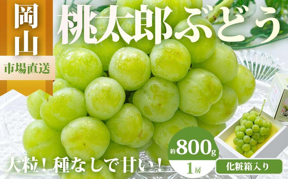 ぶどう&nbsp;2026年&nbsp;&nbsp;桃太郎&nbsp;ぶどう&nbsp;1房（800g以上）化粧箱入り&nbsp;ブドウ&nbsp;葡萄&nbsp;&nbsp;岡山県産&nbsp;国産&nbsp;フルーツ&nbsp;果物&nbsp;ギフト