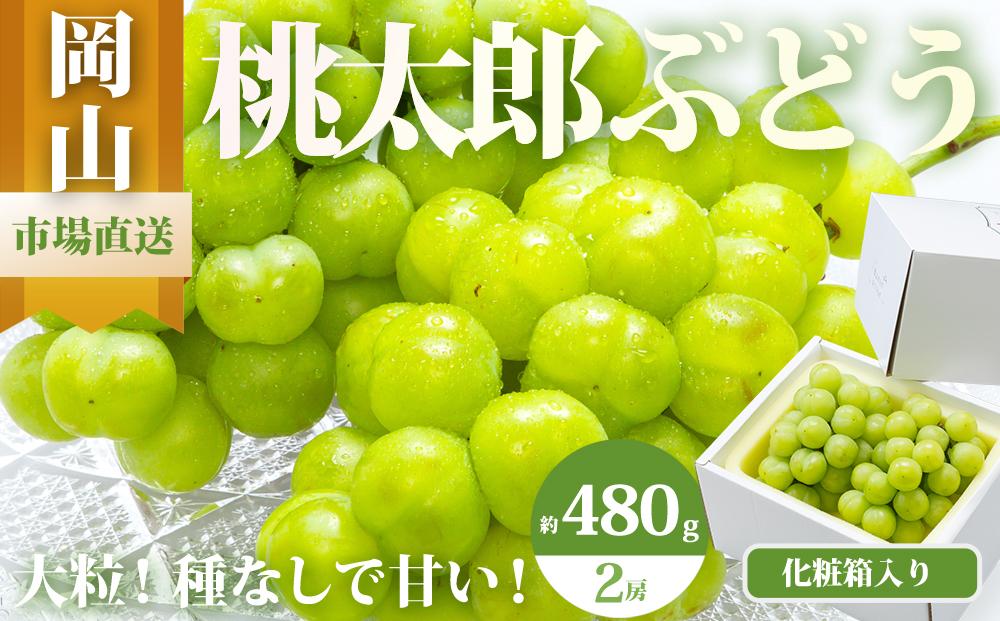 ぶどう&nbsp;2026年&nbsp;桃太郎&nbsp;ぶどう&nbsp;2房（1房480g以上）化粧箱入り&nbsp;ブドウ&nbsp;葡萄&nbsp;&nbsp;岡山県産&nbsp;国産&nbsp;フルーツ&nbsp;果物&nbsp;ギフト