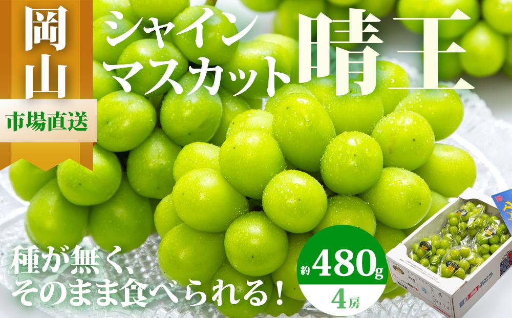 ぶどう&nbsp;2026年&nbsp;&nbsp;シャイン&nbsp;マスカット&nbsp;晴王&nbsp;4房（1房480g以上）約2kg&nbsp;マスカット&nbsp;ブドウ&nbsp;葡萄&nbsp;&nbsp;岡山県産&nbsp;国産&nbsp;フルーツ&nbsp;果物&nbsp;ギフト
