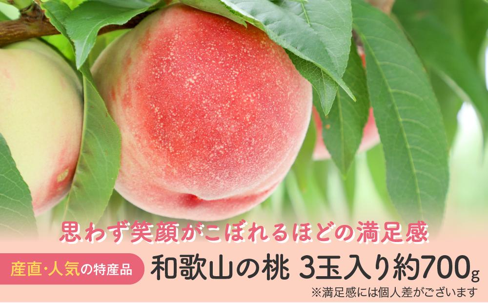 【産直・人気の特産品】和歌山の桃 3玉入り 約700g  ★2025年6月下旬から8月上旬頃順次発送★【TM93】