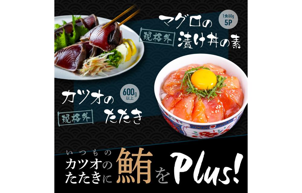 規格外カツオたたき 約600g＋マグロ漬け丼の素 約80g×5パック【ポイント交換専用】