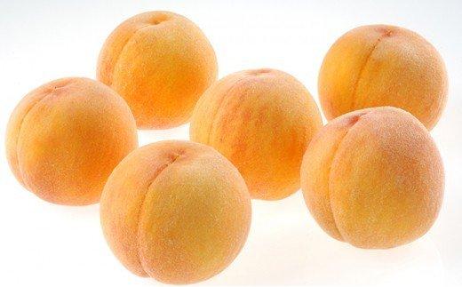 桃 2024年 先行予約 ご家庭用 おかやま の 黄金桃 約1.3kg（5～6玉） もも モモ 岡山県産 国産 フルーツ 果物 