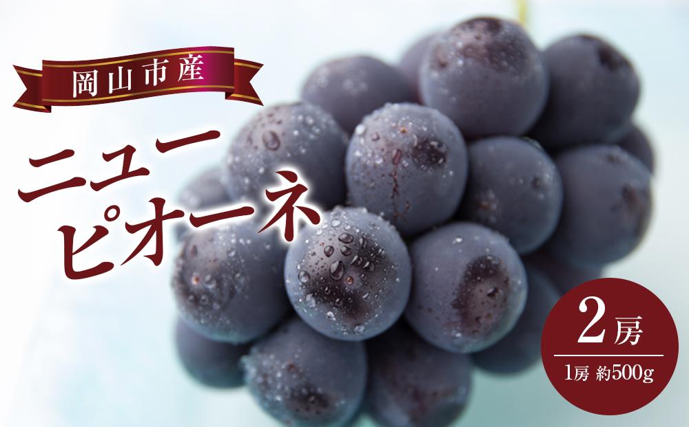 ぶどう&nbsp;2026年&nbsp;&nbsp;ニュー&nbsp;ピオーネ&nbsp;2房（1房約500g）&nbsp;ブドウ&nbsp;葡萄&nbsp;&nbsp;岡山市産&nbsp;国産&nbsp;フルーツ&nbsp;果物&nbsp;ギフト
