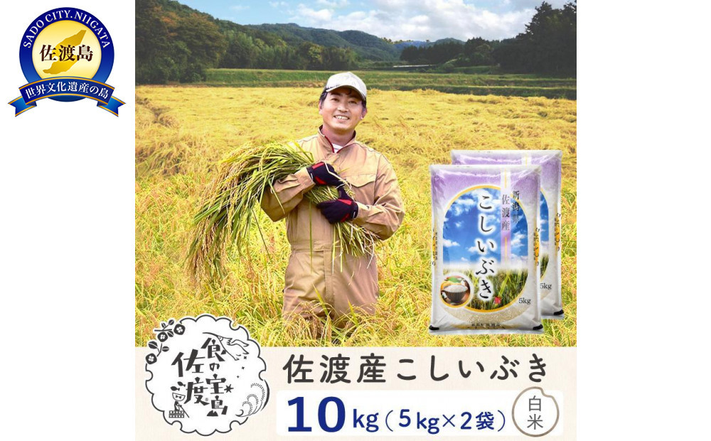 佐渡島産こしいぶき&nbsp;白米10Kg(5Kg×2袋）&nbsp;令和7年&nbsp;～農薬5割減～&nbsp;農家直送