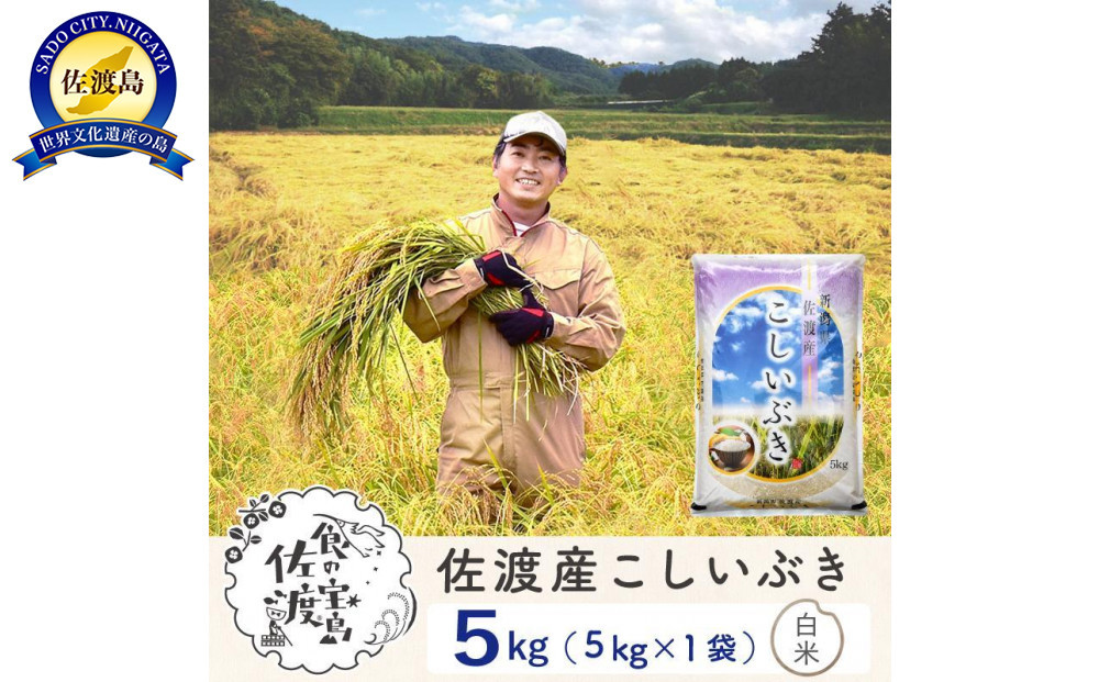 佐渡島産こしいぶき&nbsp;白米5Kg&nbsp;令和7年&nbsp;～農薬5割減～&nbsp;農家直送