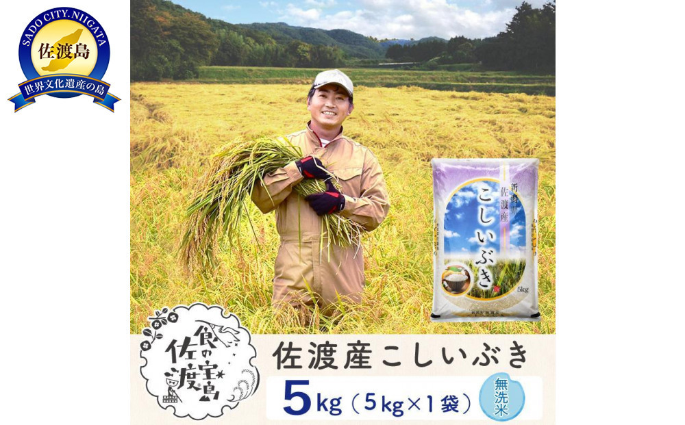 佐渡島産こしいぶき&nbsp;無洗米5Kg&nbsp;令和7年&nbsp;～農薬5割減～&nbsp;農家直送