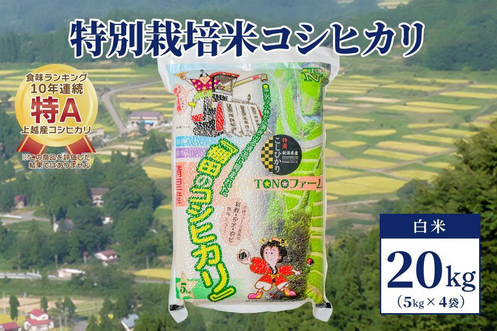 50セット限定】令和5年産 新潟上越清里産 特別栽培米コシヒカリ20kg