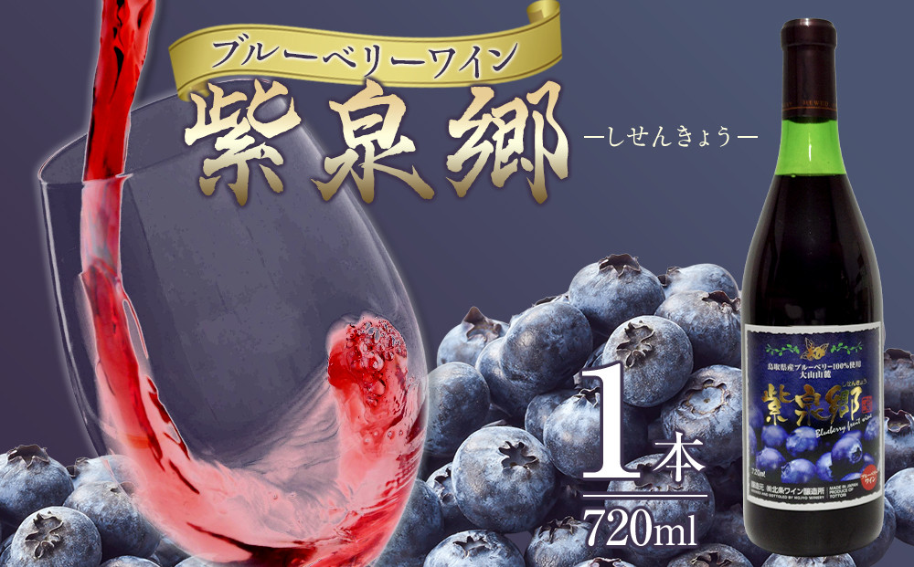 酒&nbsp;ワイン&nbsp;ブルーベリーワイン&nbsp;紫泉郷（しせんきょう）&nbsp;1本&nbsp;（&nbsp;720ml&nbsp;）【ブルーベリー&nbsp;パープル&nbsp;酒&nbsp;お酒&nbsp;晩酌&nbsp;人気&nbsp;おすすめ&nbsp;鳥取県&nbsp;琴浦町&nbsp;送料無料】