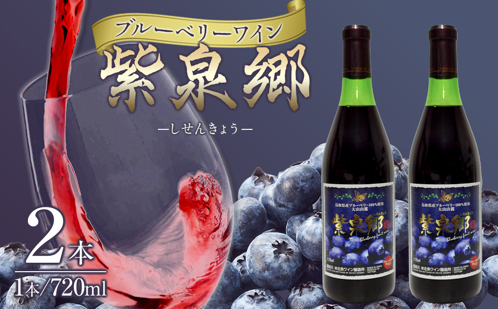 酒&nbsp;ワイン&nbsp;ブルーベリーワイン&nbsp;紫泉郷（しせんきょう）&nbsp;2本&nbsp;（&nbsp;720ml×&nbsp;2&nbsp;）【ブルーベリー&nbsp;パープル&nbsp;セット&nbsp;酒&nbsp;お酒&nbsp;晩酌&nbsp;人気&nbsp;おすすめ&nbsp;鳥取県&nbsp;琴浦町&nbsp;送料無料】