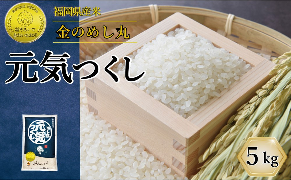令和7年米&nbsp;福岡県産&nbsp;米&nbsp;金のめし丸元気つくし&nbsp;5kg&nbsp;|&nbsp;精米&nbsp;お米&nbsp;こめ&nbsp;白米&nbsp;ライス&nbsp;ブランド米