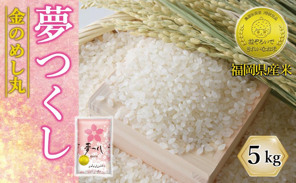 令和7年米 福岡県産 米 金のめし丸夢つくし 5kg (1袋) | 新米 お米 こめ 白米 精米 福岡県産米 夢つくし 5kg袋 福岡県 大川市