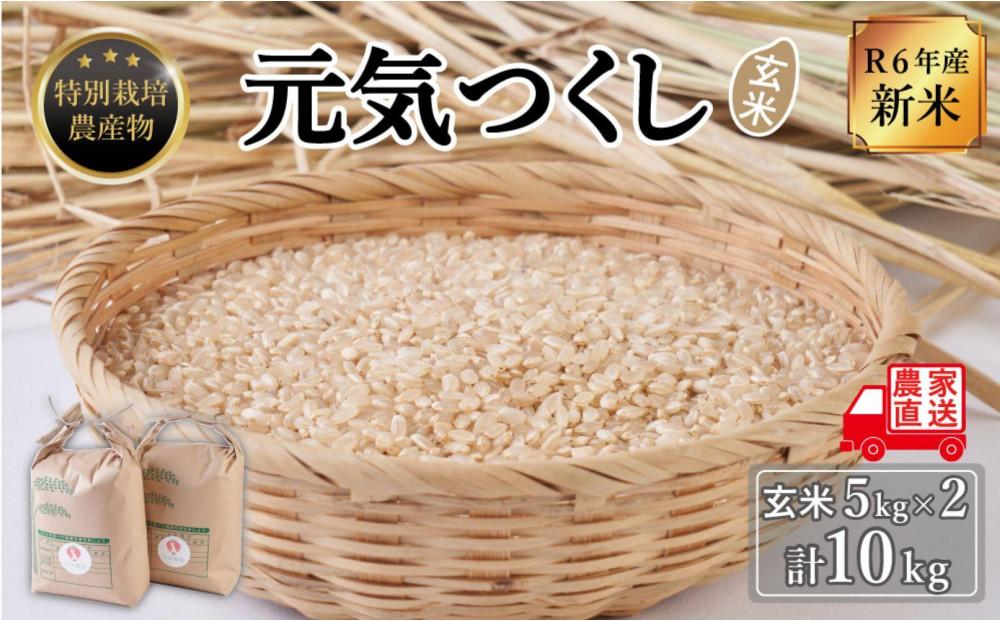 【令和6年度新米】玄米(特別栽培農産物)元気つくし 5kg×2袋 (計10kg)