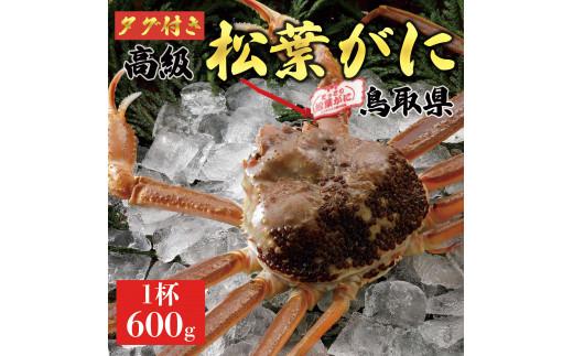 【2024年内発送】特撰　松葉がに（なま）【タグ付き】600g超の大きいサイズ　食べ応えあり　1杯