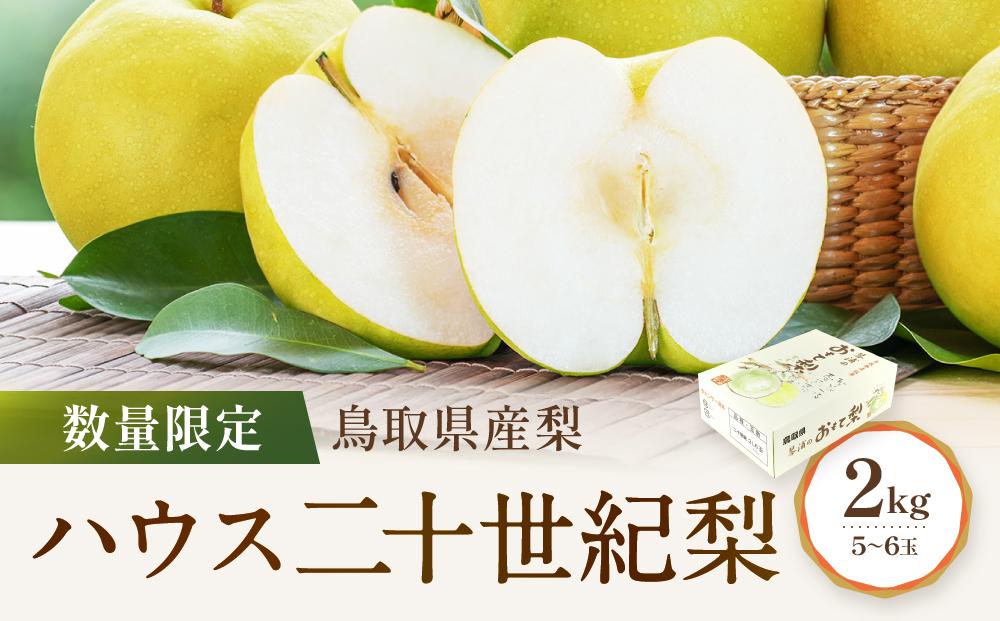 【先行予約】数量限定&nbsp;鳥取県産梨&nbsp;ハウス二十世紀梨&nbsp;2kg（5～6玉）