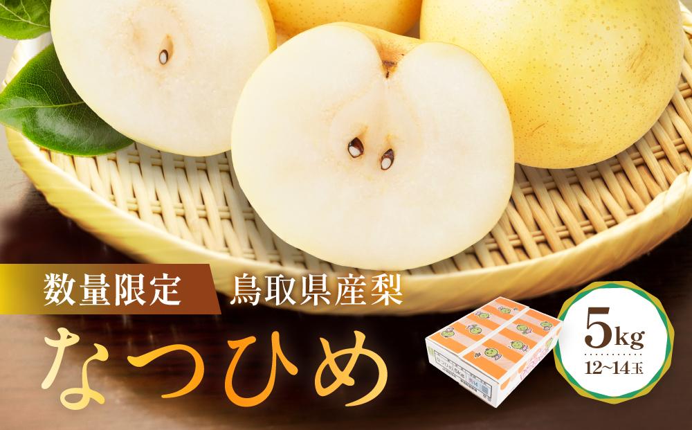 数量限定&nbsp;鳥取県産梨&nbsp;なつひめ&nbsp;5kg（12～14玉）【国産&nbsp;なつひめ&nbsp;2026年&nbsp;令和8年&nbsp;新鮮&nbsp;旬&nbsp;フルーツ&nbsp;果物&nbsp;くだもの&nbsp;人気&nbsp;おすすめ&nbsp;鳥取県&nbsp;琴浦町&nbsp;送料無料】