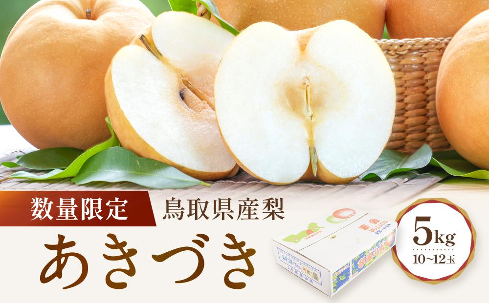 数量限定&nbsp;鳥取県産梨&nbsp;あきづき&nbsp;5kg（10～12玉）【国産&nbsp;あきづき&nbsp;2026年&nbsp;令和8年&nbsp;新鮮&nbsp;旬&nbsp;フルーツ&nbsp;果物&nbsp;くだもの&nbsp;人気&nbsp;おすすめ&nbsp;鳥取県&nbsp;琴浦町&nbsp;送料無料】