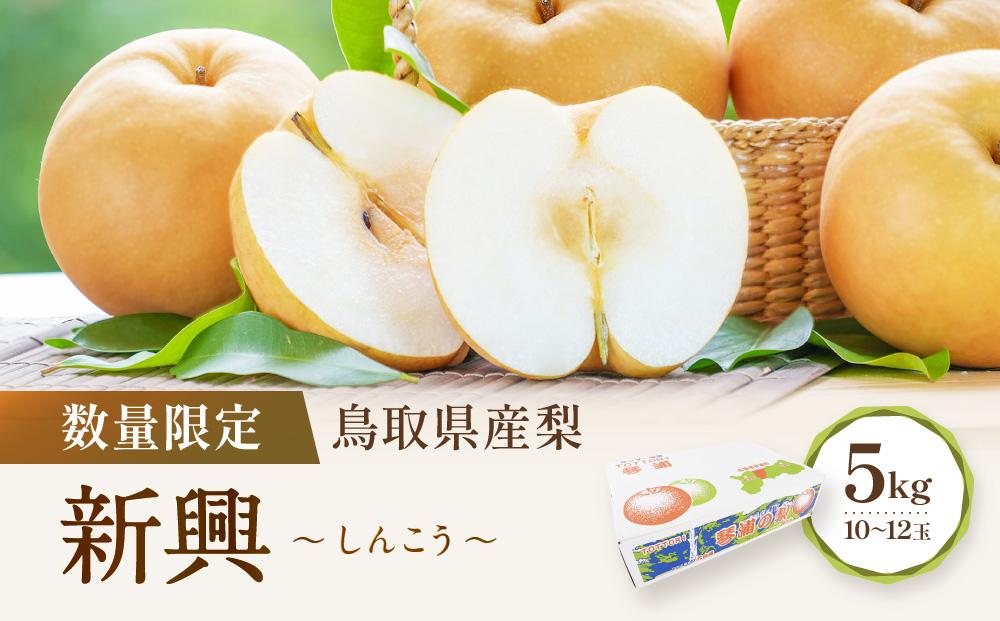 【先行予約】数量限定 鳥取県産梨 新興（しんこう） 5kg（10～12玉）