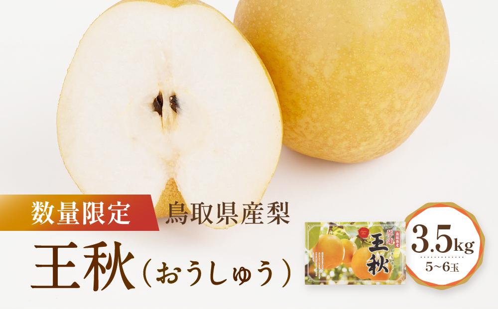 梨 王秋 家庭用 15㎏ 【公式通販】