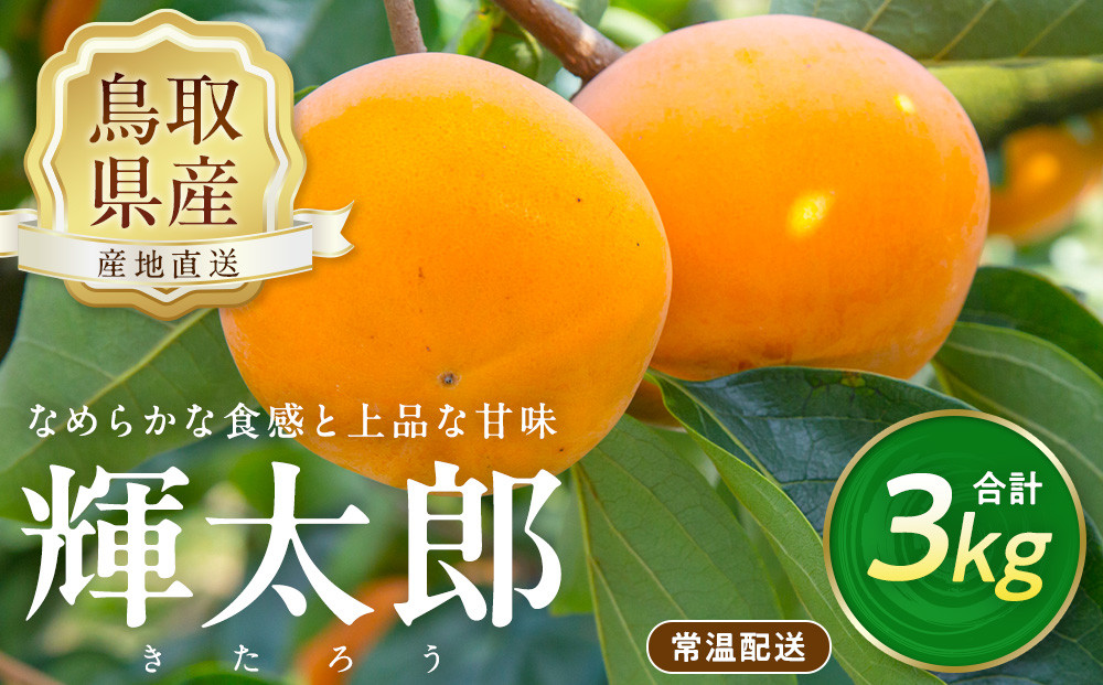 【先行予約】数量限定&nbsp;鳥取県産柿&nbsp;輝太郎（きたろう）&nbsp;3kg&nbsp;国産&nbsp;カキ&nbsp;柿&nbsp;柿3kg&nbsp;国産柿&nbsp;鳥取県産柿&nbsp;柿先行予約&nbsp;先行予約&nbsp;旬&nbsp;果物&nbsp;くだもの&nbsp;フルーツ&nbsp;限定&nbsp;人気&nbsp;おすすめ&nbsp;鳥取県&nbsp;琴浦町&nbsp;送料無料