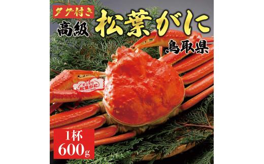 【2025年発送】特撰　松葉がに（茹）【タグ付き】600g超の大きいサイズ　食べ応えあり　1杯