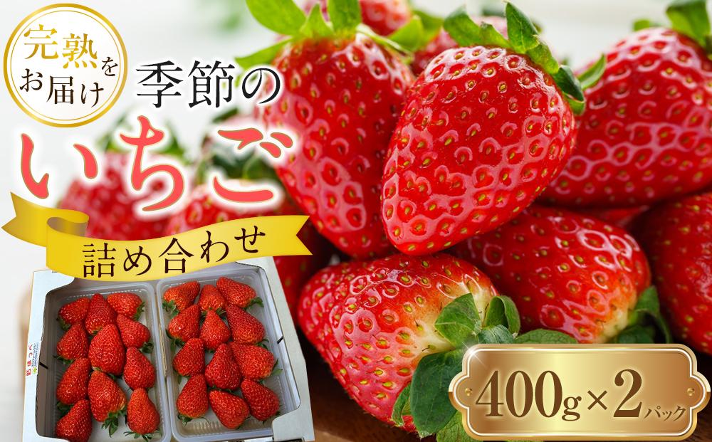 季節のイチゴ詰め合わせ(400ｇ×2パック)