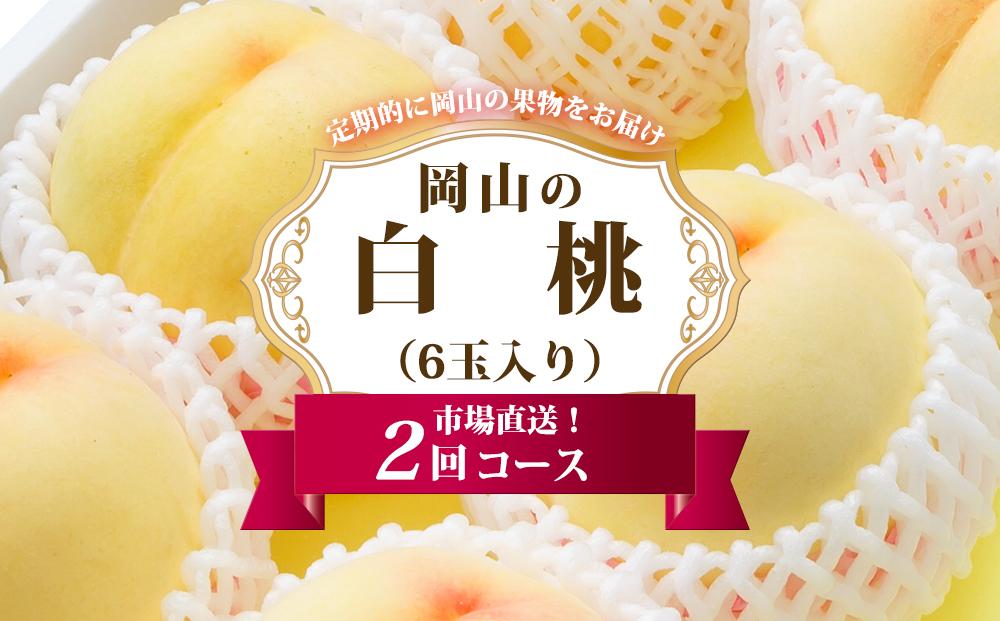 桃&nbsp;定期便&nbsp;2026年&nbsp;岡山&nbsp;の&nbsp;白桃&nbsp;6玉&nbsp;合計1.6kg以上×2回&nbsp;お届け&nbsp;化粧箱入り&nbsp;もも&nbsp;モモ&nbsp;岡山産&nbsp;国産&nbsp;フルーツ&nbsp;果物&nbsp;ギフト