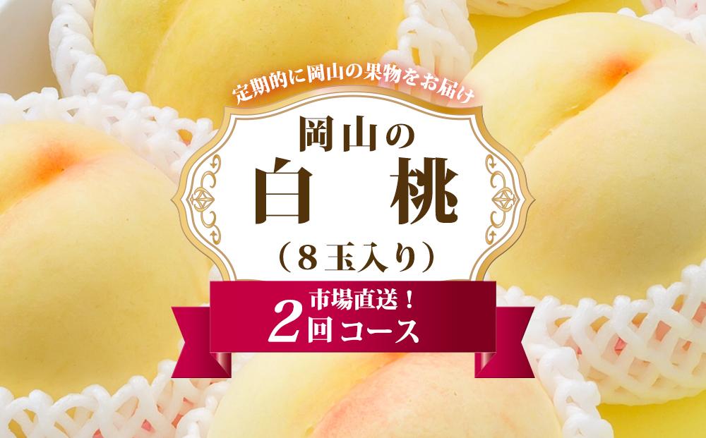 桃 定期便 2025年 先行予約 岡山 の 白桃 8玉 合計1.7kg以上×2回 お届け 化粧箱入り もも モモ 岡山産 国産 フルーツ 果物 ギフト