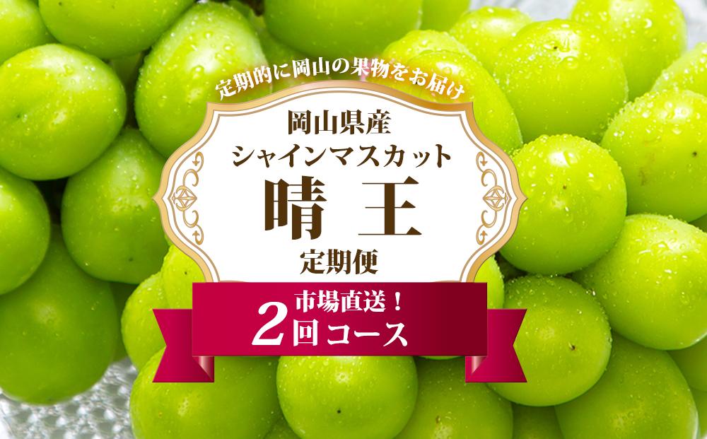 ぶどう&nbsp;定期便&nbsp;2026年&nbsp;シャイン&nbsp;マスカット&nbsp;晴王&nbsp;各月2房（1房600g以上）&nbsp;2回コース&nbsp;マスカット&nbsp;ブドウ&nbsp;葡萄&nbsp;&nbsp;岡山県産&nbsp;国産&nbsp;フルーツ&nbsp;果物&nbsp;ギフト