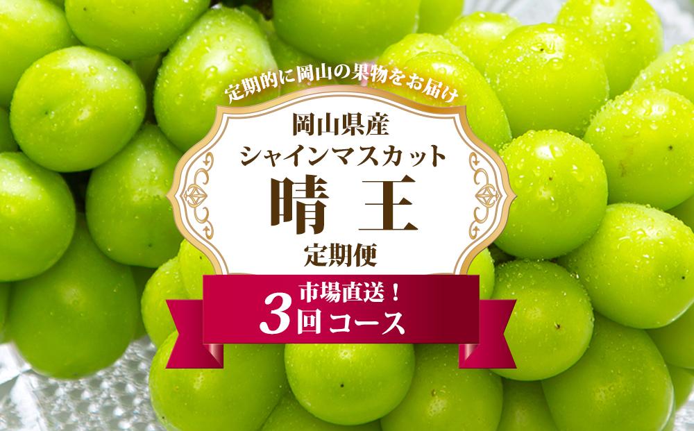 ぶどう&nbsp;定期便&nbsp;2026年&nbsp;シャイン&nbsp;マスカット&nbsp;晴王&nbsp;各月2房（1房600g以上）&nbsp;3回コース&nbsp;マスカット&nbsp;ブドウ&nbsp;葡萄&nbsp;&nbsp;岡山県産&nbsp;国産&nbsp;フルーツ&nbsp;果物&nbsp;ギフト