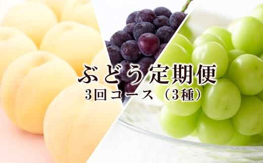 桃 ぶどう 定期便 2025年 先行予約 晴れの国 岡山 の フルーツ 定期便 3回コース もも モモ 葡萄 ブドウ 岡山県産 国産 セット ギフト