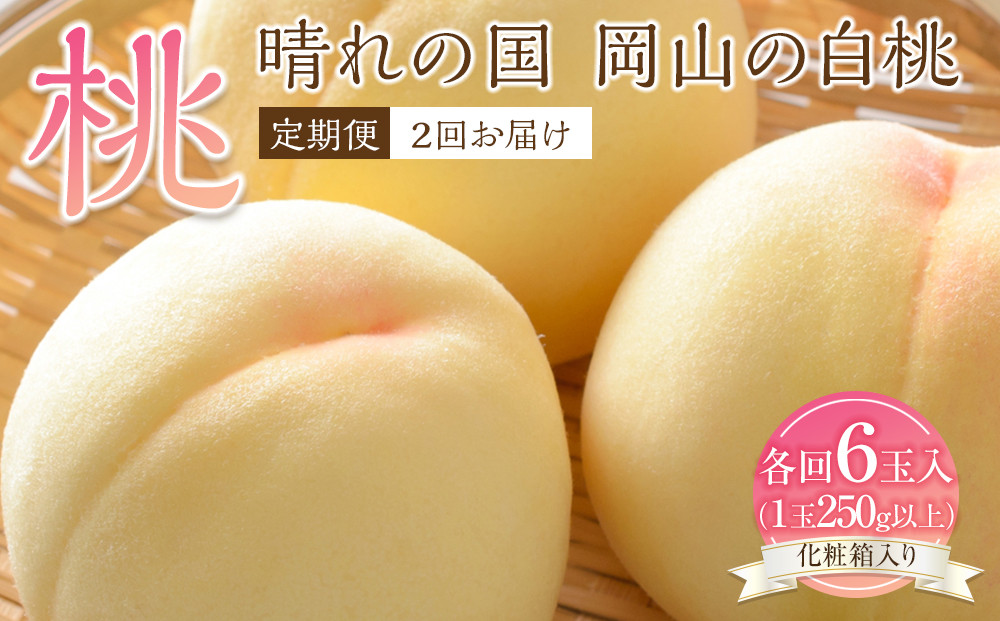 桃&nbsp;定期便&nbsp;2026年&nbsp;晴れの国&nbsp;岡山&nbsp;の&nbsp;白桃&nbsp;×2回&nbsp;お届け&nbsp;1回目&nbsp;白桃&nbsp;6玉（1玉250g以上）／2回目&nbsp;白桃&nbsp;6玉（1玉300g以上）&nbsp;化粧箱入り&nbsp;もも&nbsp;モモ&nbsp;岡山産&nbsp;国産&nbsp;フルーツ&nbsp;果物&nbsp;ギフト