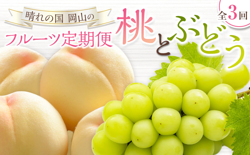 桃&nbsp;ぶどう&nbsp;定期便&nbsp;（隔月）&nbsp;2026年&nbsp;晴れの国&nbsp;岡山の&nbsp;フルーツ&nbsp;定期便&nbsp;3回&nbsp;コース&nbsp;白桃&nbsp;もも&nbsp;葡萄&nbsp;シャイン&nbsp;マスカット&nbsp;葡萄&nbsp;岡山産&nbsp;国産&nbsp;フルーツ&nbsp;果物&nbsp;ギフト