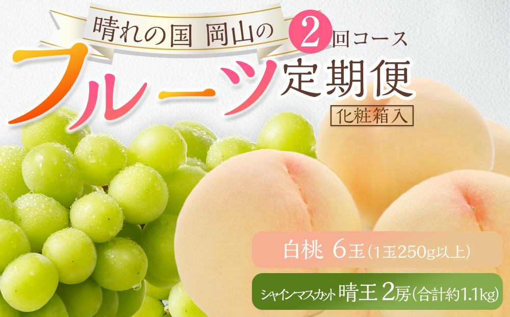 フルーツ&nbsp;2026年&nbsp;晴れの国&nbsp;岡山&nbsp;の&nbsp;フルーツ&nbsp;定期便&nbsp;2回コース&nbsp;桃&nbsp;ぶどう&nbsp;岡山県産&nbsp;国産&nbsp;フルーツ&nbsp;果物&nbsp;ギフト