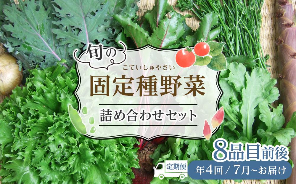 野菜［2024年先行予約 4回定期便］ 旬の固定種野菜 バイオダイナミック農業  8品目前後（7月～10月のお届け）冷蔵配送 