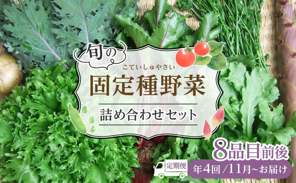 野菜［2024年先行予約 4回定期便］ 旬の固定種野菜 バイオダイナミック農業  8品目前後（11月～2月のお届け）常温配送 