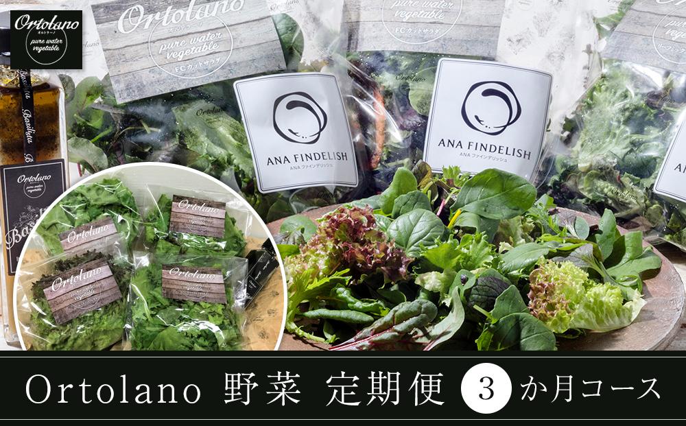 【Ortolano】野菜 定期便（3か月コース）【配達不可：北海道・沖縄・離島】 