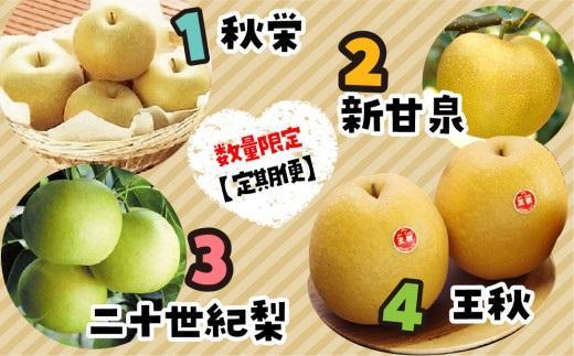 数量限定【定期便】鳥取県産 梨の食べ比べ 4種類コース