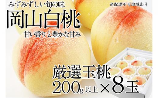 桃 2025年 先行予約 岡山の白桃 200g以上×8玉 | 白桃 旬 みずみずしい 晴れの国 おかやま 岡山県産 フルーツ王国 果物王国