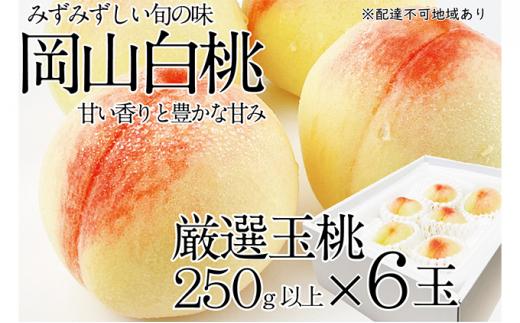 桃 2025年 先行予約 岡山の白桃 250g以上×6玉 | 白桃 旬 みずみずしい 晴れの国 おかやま 岡山県産 フルーツ王国 果物王国