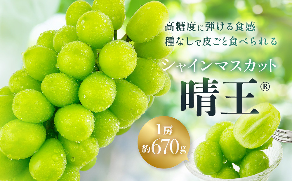 ぶどう&nbsp;2026年&nbsp;&nbsp;シャイン&nbsp;マスカット&nbsp;晴王&nbsp;1房&nbsp;約670g&nbsp;|&nbsp;晴れの国&nbsp;おかやま&nbsp;岡山県産&nbsp;フルーツ王国&nbsp;果物王国